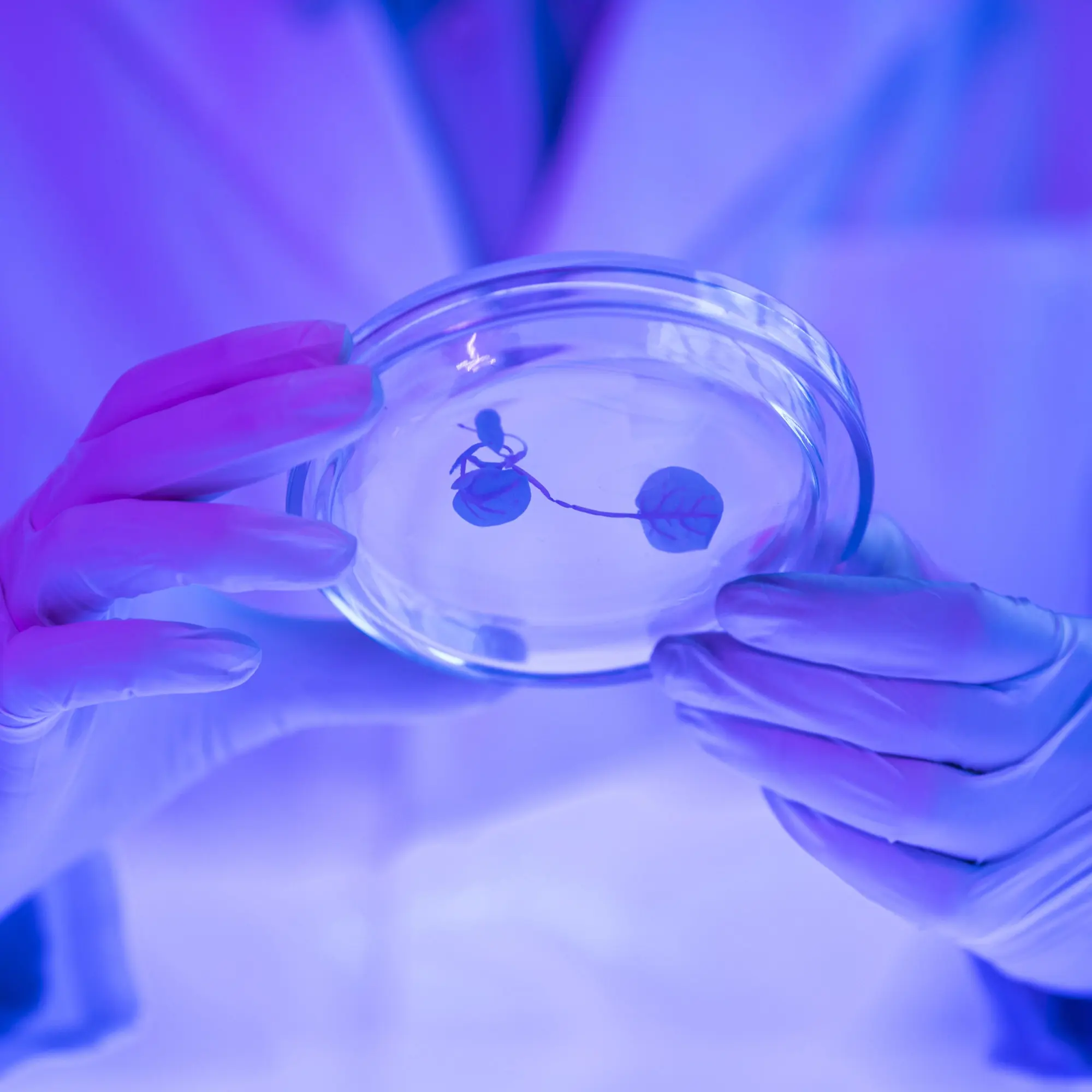 Unraveling Material Properties with Advanced Nanoscale Characterization