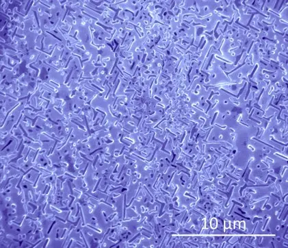 Pioneering Cu/Cr Hybrid Structures via Graphene Growth on Liquified Copper at Submelting Temperatures