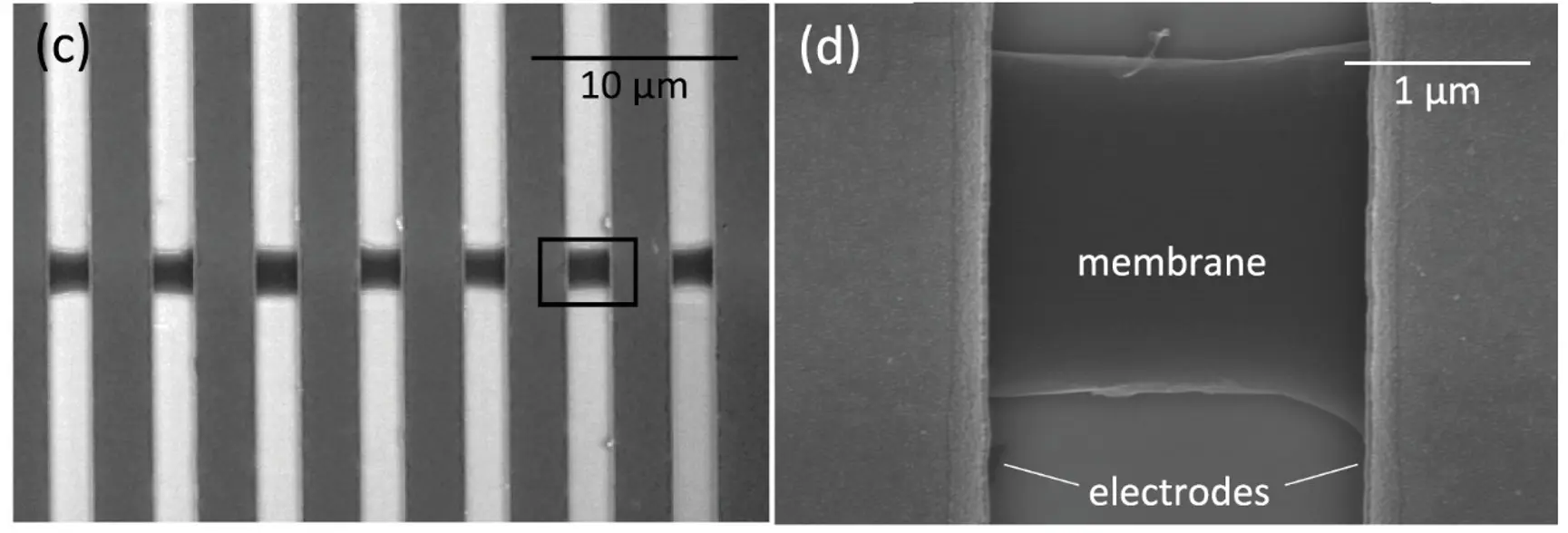 Fabrication and Integration of High-Quality CVD Graphene for Advanced NEMS Applications